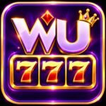 WC777 Game